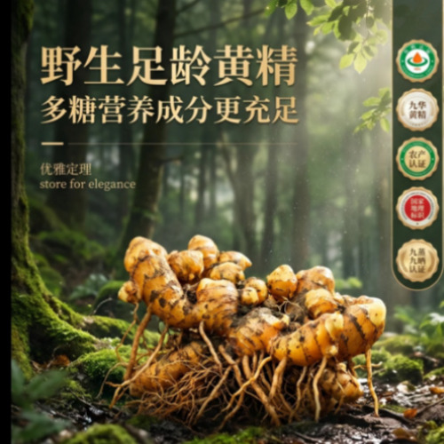 菁选灵创全流程创作展示